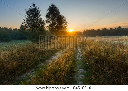 Morning Landscape With Rural Sandy Road