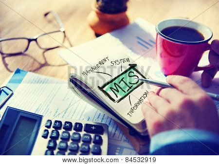 Management Information System MIS Data Development Information Concept