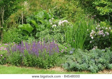 Brittany, Le Jardin Lepage In Pleumeur Bodou