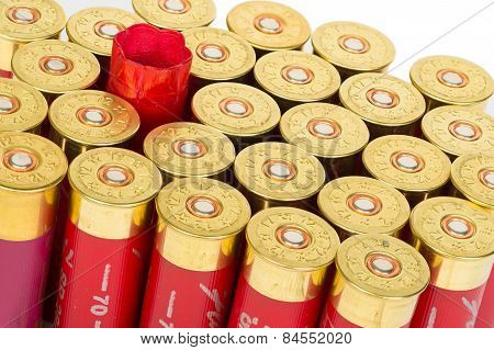 Bullet shells