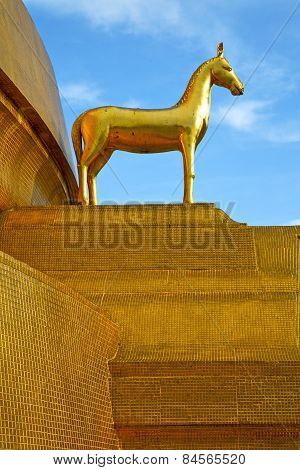 Siddharta   In The Temple Horse