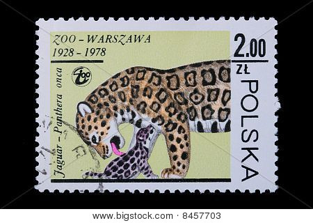 Polen - Circa 1978: Et stempel Jaguar