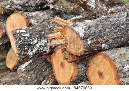 firewood
