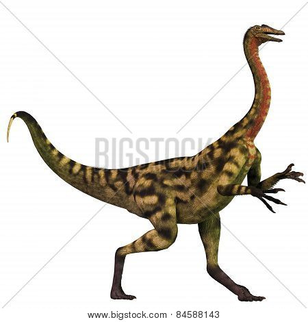 Deinocheirus Over White