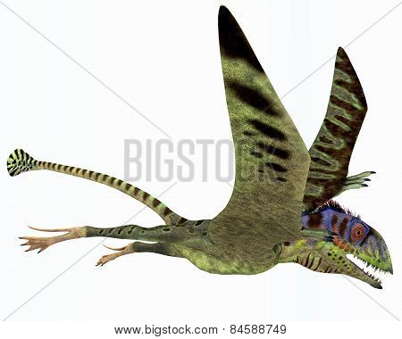 Peteinosaurus Dinosaur