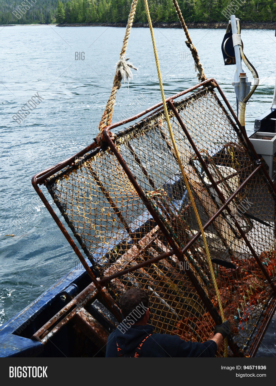 King Crab Pot Raised Image & Photo (Free Trial) Bigstock