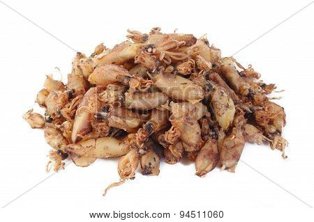 Beka Squid On White Background