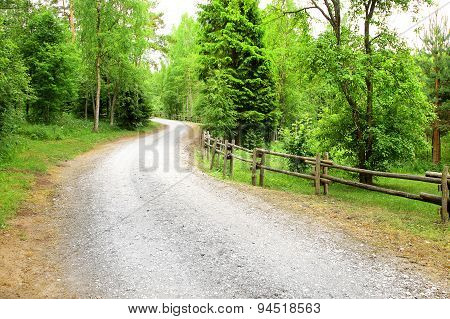 Winding Forest Road