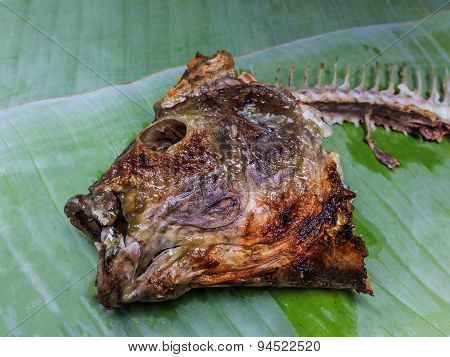 Fish Head