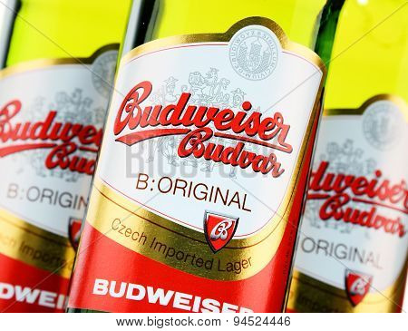 Bottles Of Budweiser Budvar Beer
