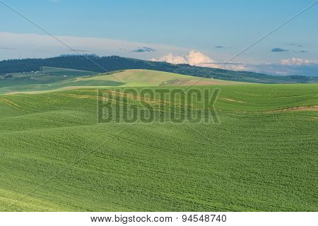 Rolling Hills
