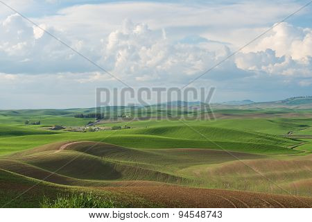 Rolling Hills