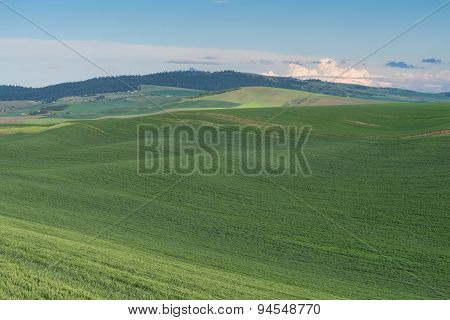 Rolling Hills