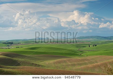 Rolling Hills