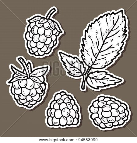 Raspberry stickers white