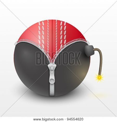 Cricket leather ball inside a burning bomb vector