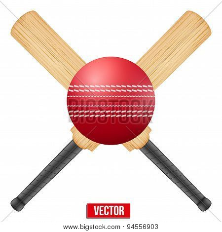 Vector illustration of cricket leather ball and wooden bats.