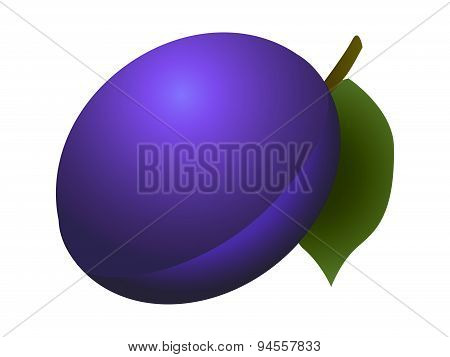 Plum Fruit
