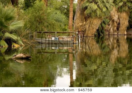 Boatinswamp