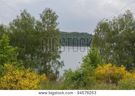 Lake In Summer