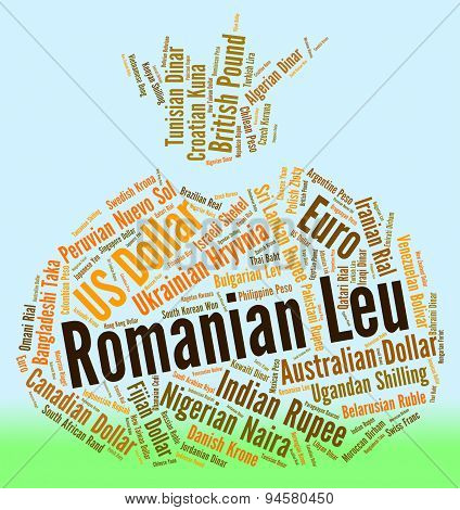 Romanian Leu Means Exchange Rate And Banknotes