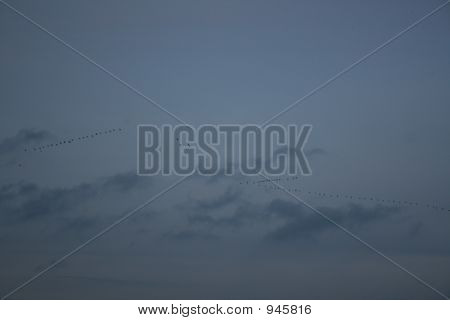 Weg fliegt