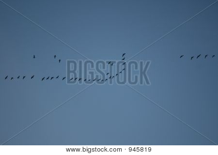 Weg fliegt