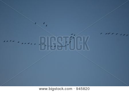 Weg fliegt
