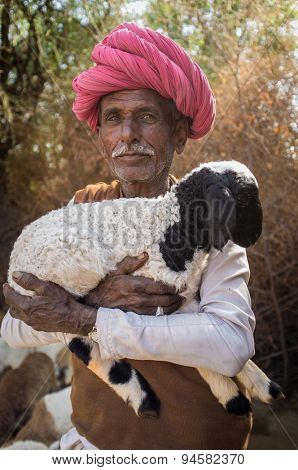 GODWAR REGION, INDIA - 13 FEBRUARY 2015: Elderly Rabari tribesman holds lamb in outdoor stable. Rabari or Rewari are an Indian community in the state of Gujarat.