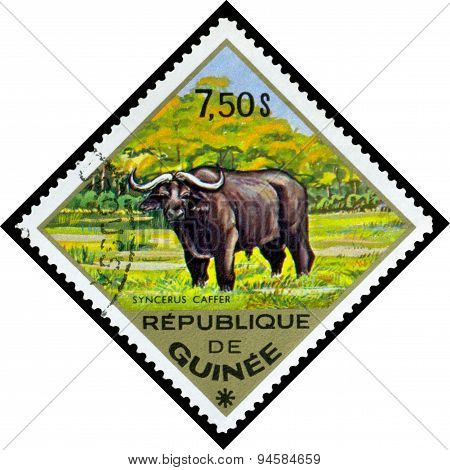 Vintage  Postage Stamp. Buffalo, Africa.