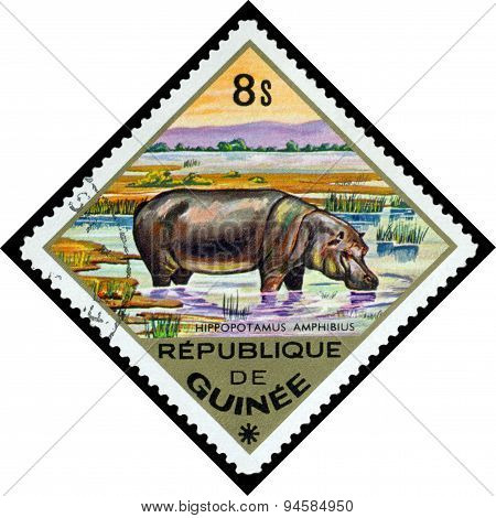 Vintage  Postage Stamp. Hippopotamus To Africa.