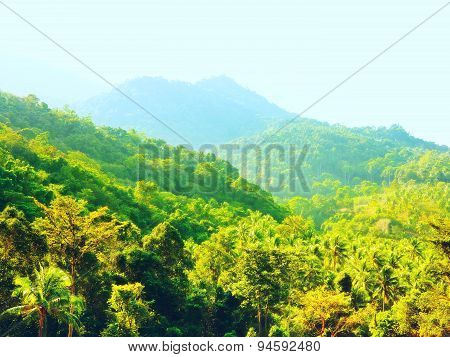 Beautiful Tropic Landscape