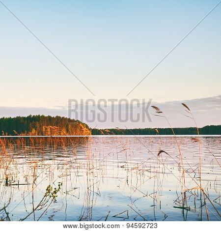 Evening on a Lake