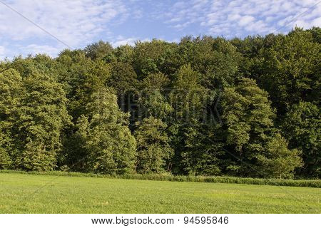 Summer Landscape In Bavaria