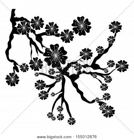 cherry blossom icon iimage vector illustration design