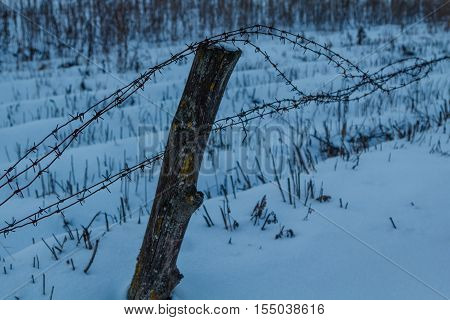 Old rustic barbed wire fence in winter