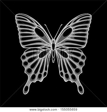 beautiful monochrome black and white butterfly. design for greeting card and invitation of the wedding birthday Valentine's Day mother's day and other seasonal holidays