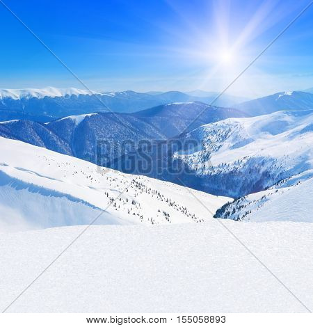 Winter snowy mountains peaks with coniferous forest natural landscape against blue sunny sky background - skiing health resort downhills - square photography
