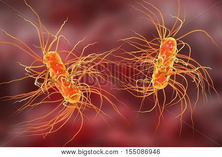 Escherichia coli bacterium, 3D illustration. Gram-negative bacterium with peritrichous flagella which is part of normal intestinal microflora and also causes enteric and other infections