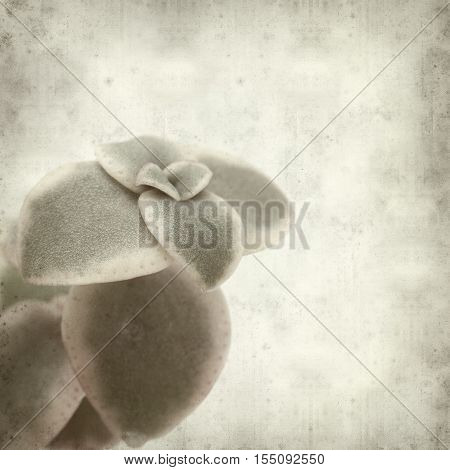 Textured Old Paper Background