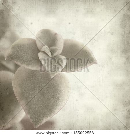 Textured Old Paper Background