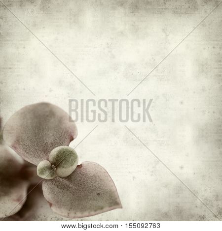 Textured Old Paper Background