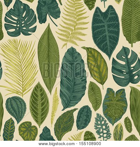 Vector seamless vintage floral pattern. Exotic leaves. Botanical classic illustration.Green