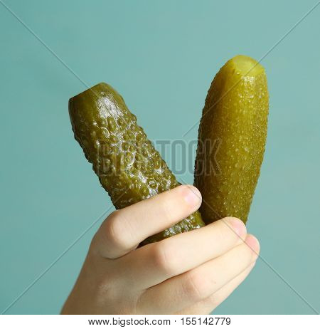 hand hold two marinated cucumbers close up photo on blue background