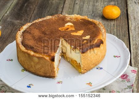 Cutted Baked Cheesecake With Mandarin Oranges Sprinkled With Cocoa On Cake Serving Platter