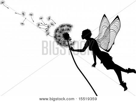 Fata Dandelion