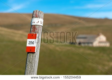 Wooden pole with red and white trail sign (number 256) in the Regional Natural Park of Lessinia Veneto Verona Italy Italian Alps