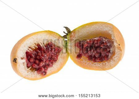 Open Fruit of the Passion Flower. flowering plants, the type genus of the family Passifloraceae.