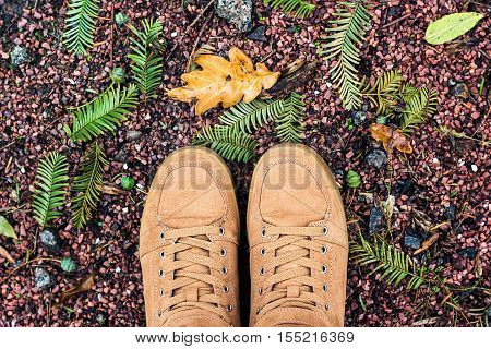 Looking down pair brown shoes standing ground fall wet yellow maple leaves Outdoor Autumn season nature background Lifestyle Fashion trendy style aerial view Copy space travel adventure concept selfie