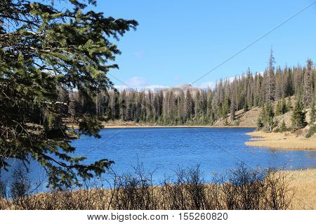 Elwood pass in Pagosa Springs in Colorado